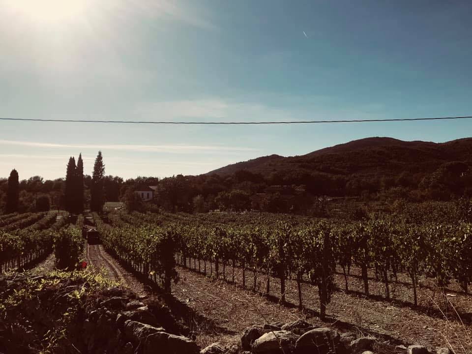 Azienda Agricola Badini