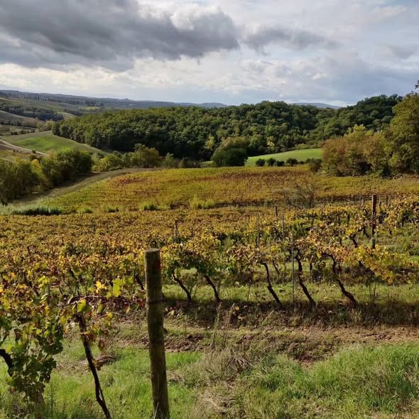 Azienda Agricola Casale