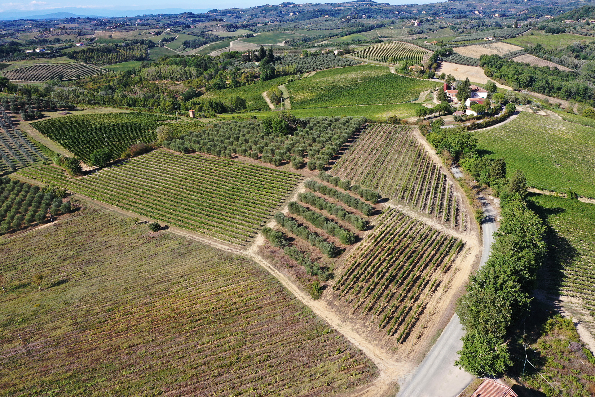Tenuta Bartolozzi